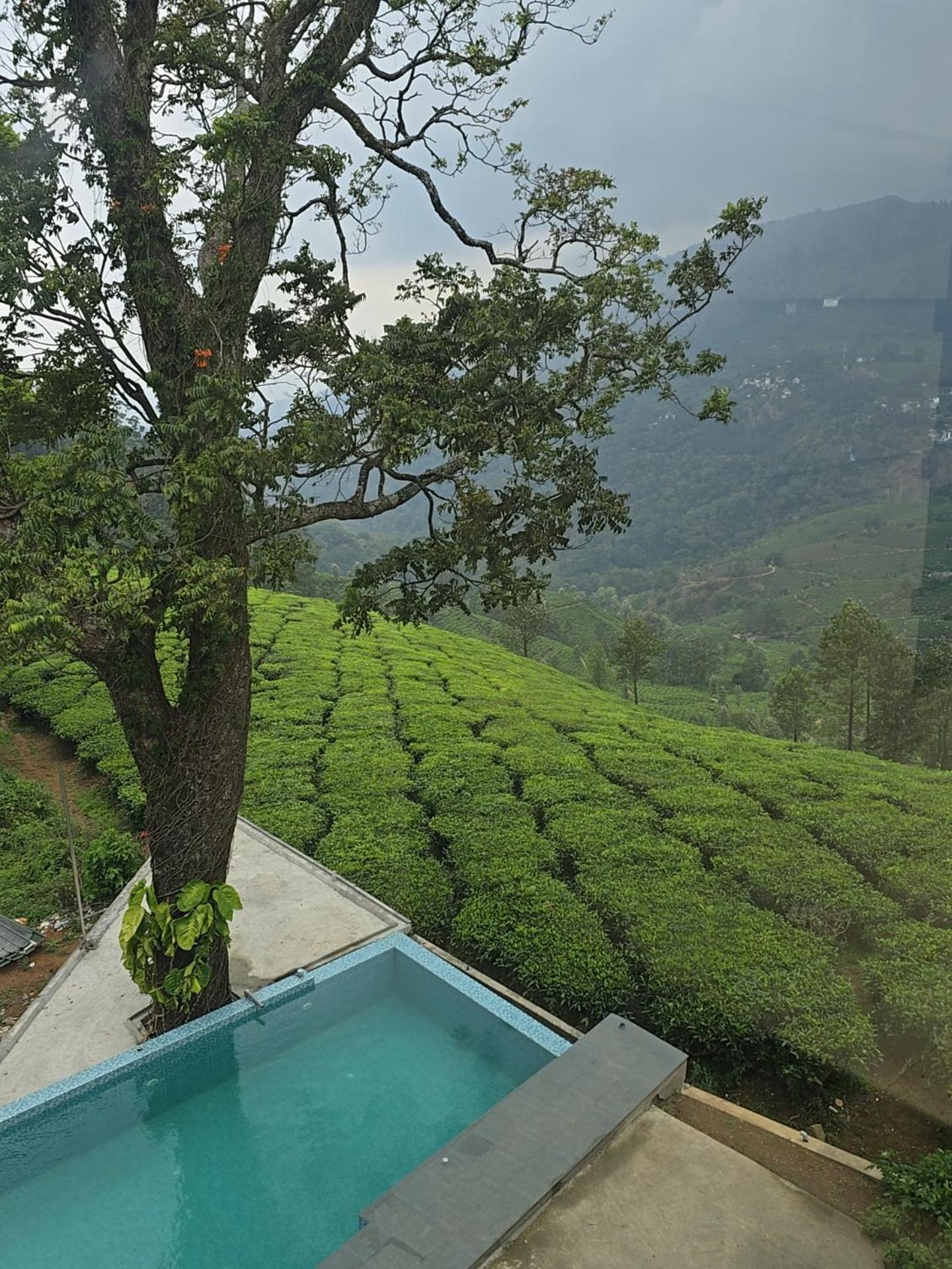 Hotel Beauty Spot Munnar Exteriér fotografie