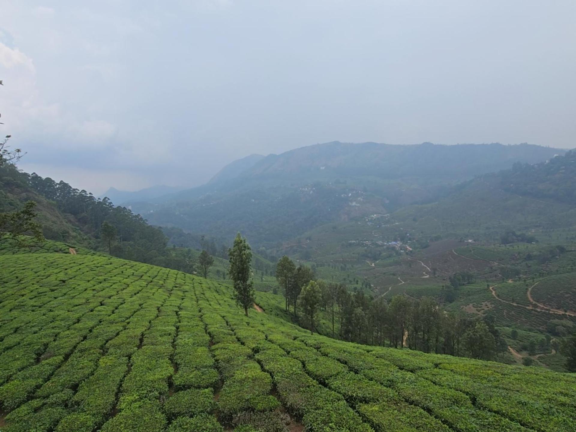 Hotel Beauty Spot Munnar Exteriér fotografie